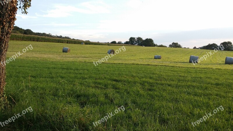 Field Haystacks June Agriculture Free Photos