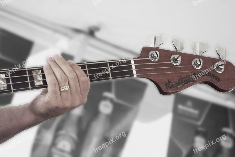 Bass Hand Music Instrument Guitarist