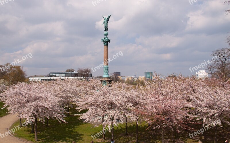 Langelinie Statue Angel Cherry Trees