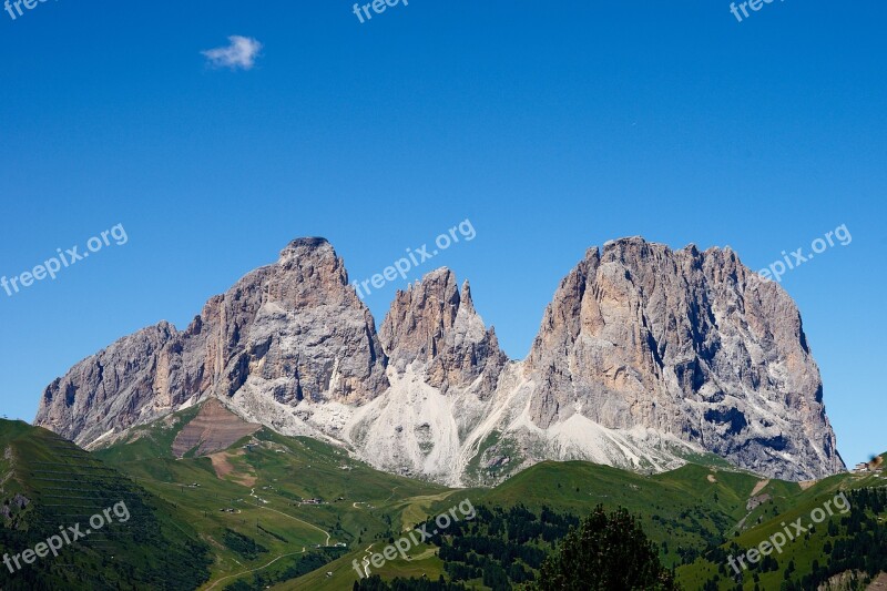 Mountain Fir Nature Hiking Alps