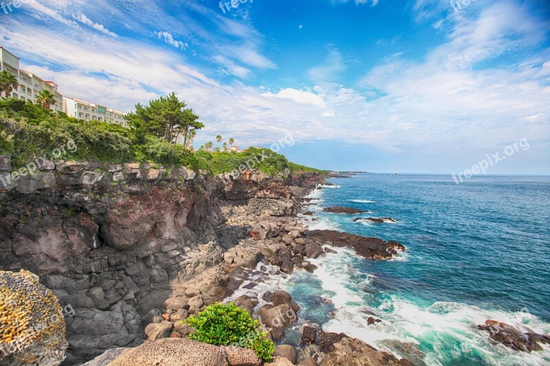 Jeju Island Jeju Namwon Large Owl Olle Gill