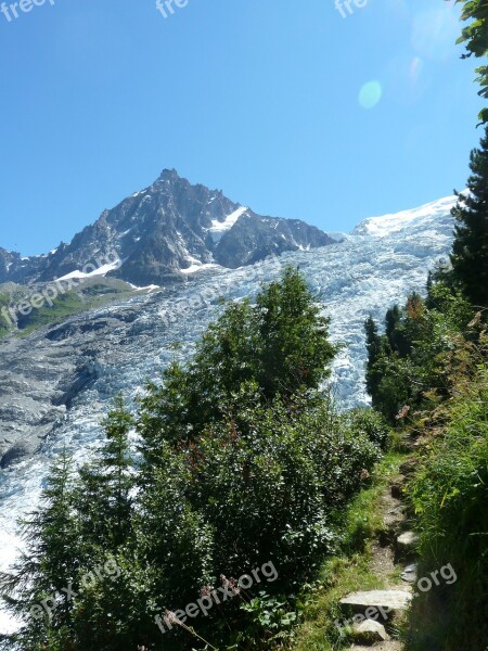 Glacier Contrast Vegetation Aiguille Du Midi Summer