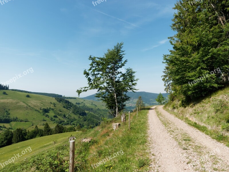 Black Forest Schwarzwald Germany Path Hiking