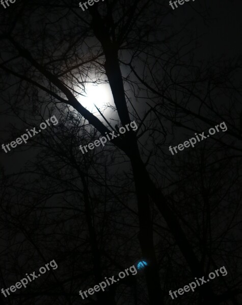 Moon Moonlight Night Sky Nature