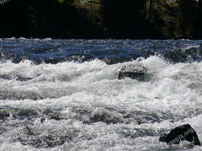 Wild Water Water Nature River Foam