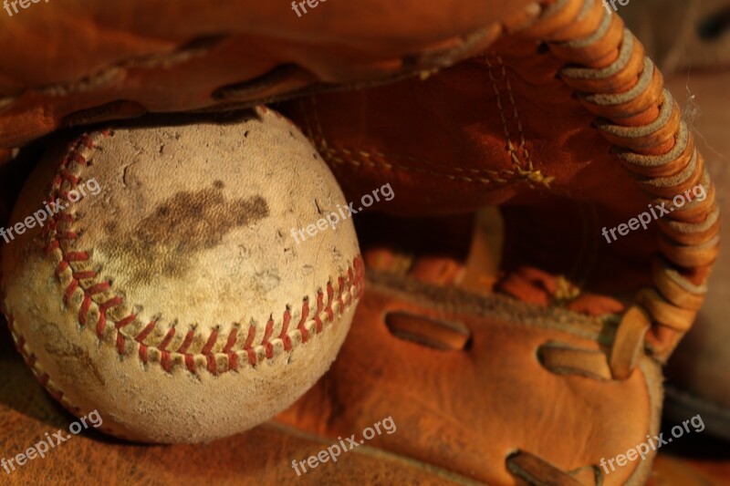 Baseball Balls Sports Glove Yankees