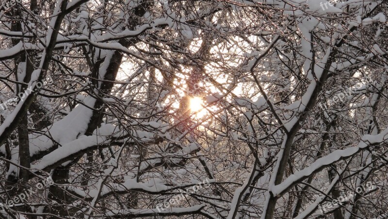 Nature Winter Landscape Snow Trees