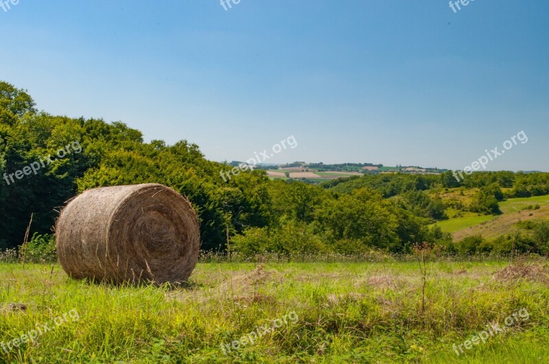 Summer Harvest Straw Field Stubble