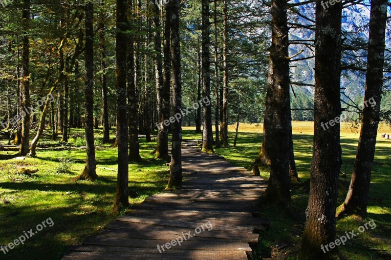 Lijiang The Jade Dragon Snow Mountain Spruce Plateau Free Photos