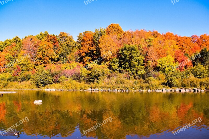 Fall Colors Canada Landscape Colorful Leaves