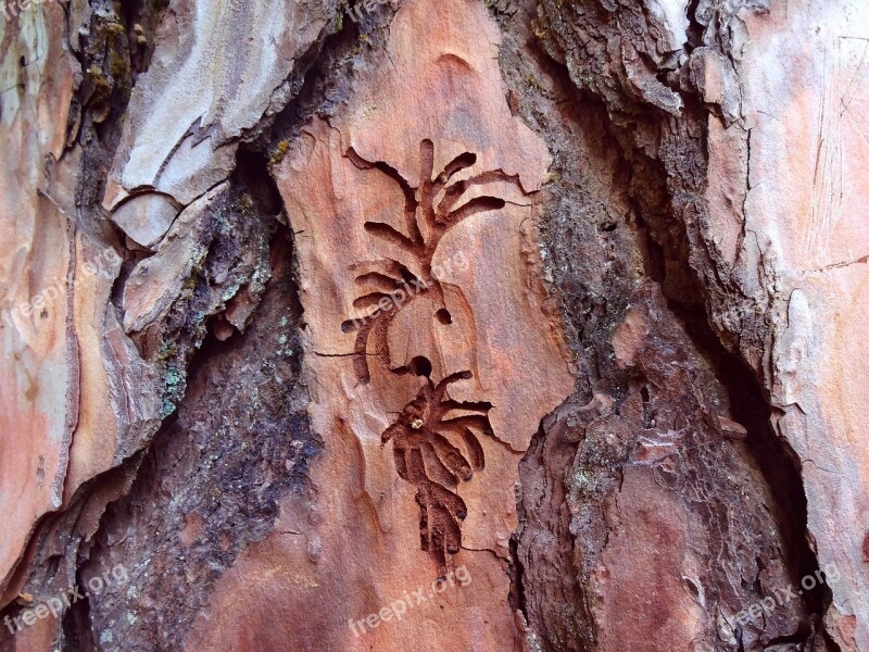 Wood Wood Carving Nature Craft Carving