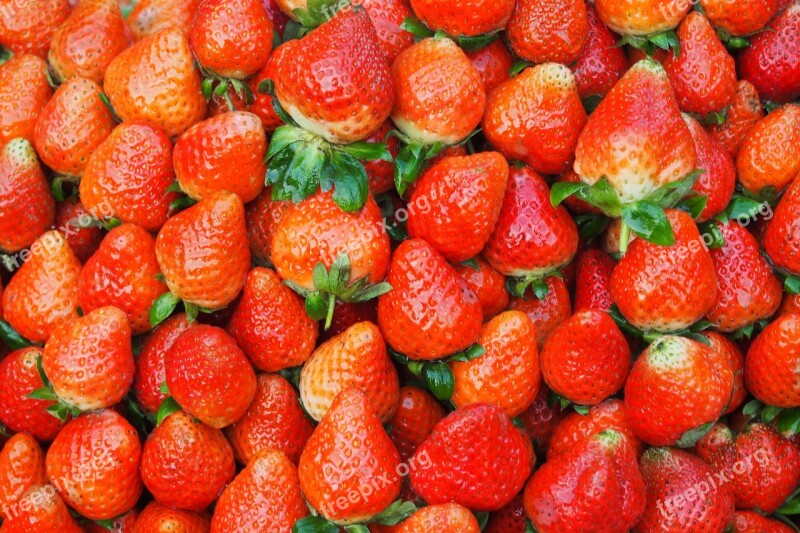 Strawberries Strawberry Pie Collection Fresh Fruit Viet Nam