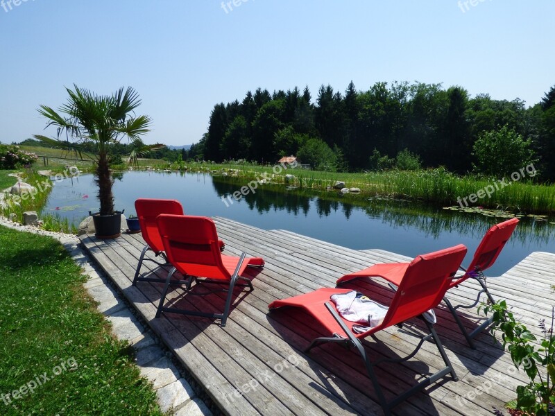 Pond Swimming Pond Paradise Water Garden