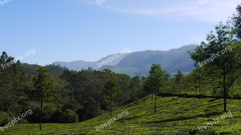 Munnar Hills India Free Photos