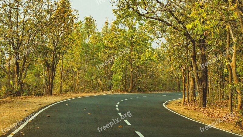 Green Road Outdoor Travel Forest