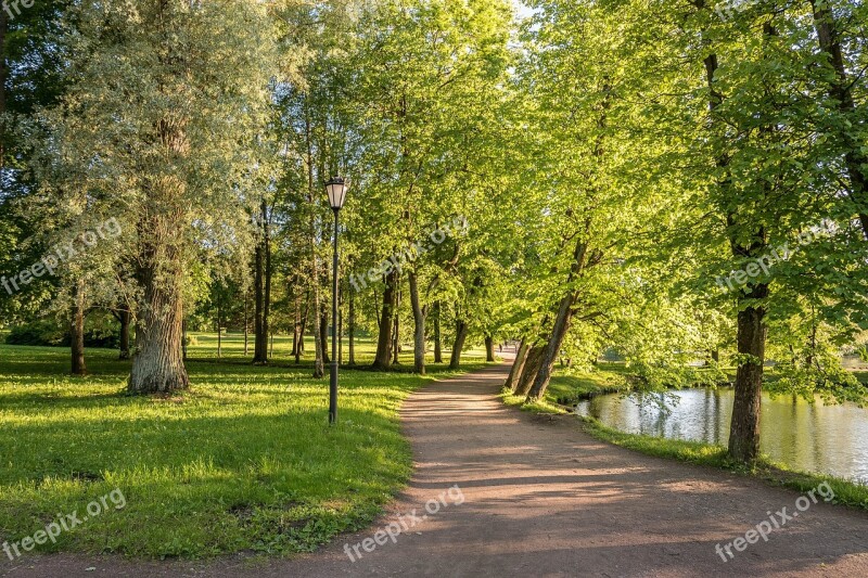 Park Gatchina Stroll Handsomely Evening