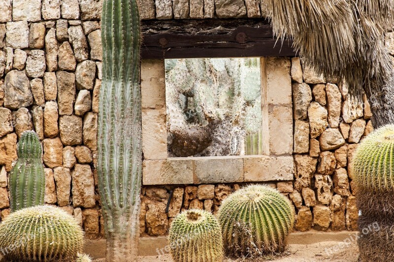 Drywall Window Cactus By Looking Mediterranean