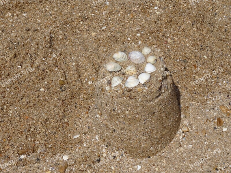 Sand Shells Sand Castle Beach Seaside