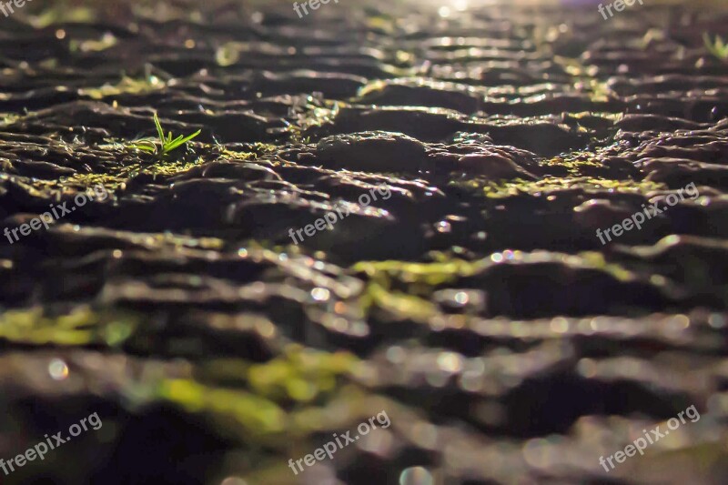 Road Asphalt Ground Stones Structure