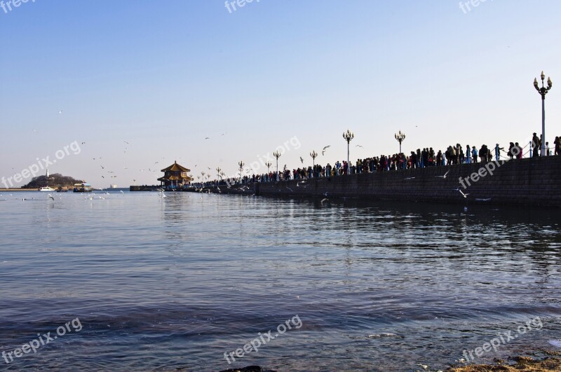 Qingdao Trestle Beach Free Photos