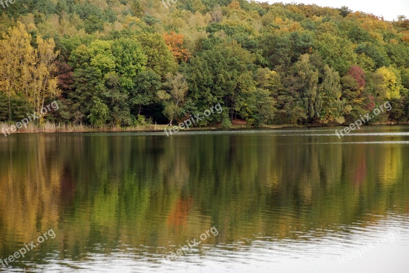 Autumn Potsdam Lake Forest Nature