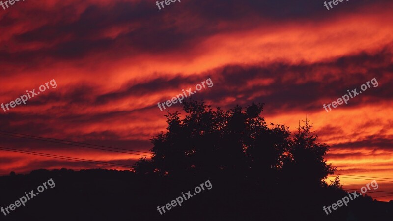 Sky Red Tree Nature Evening