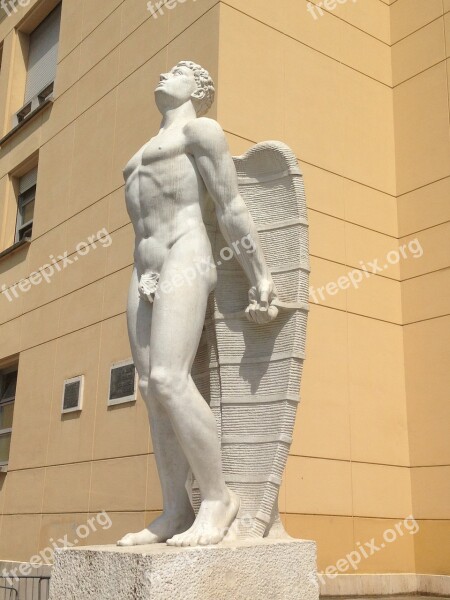 Icarus Italy Forli Free Photos