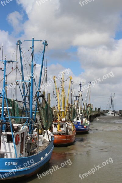 Shrimp Ebb Dorum Fishing Port North Sea