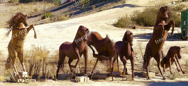 Six Horses Horses Wild Horses Free Photos