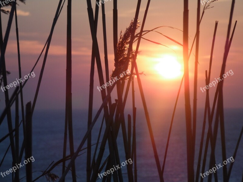 Heat Wave Sunrise Summer Free Photos