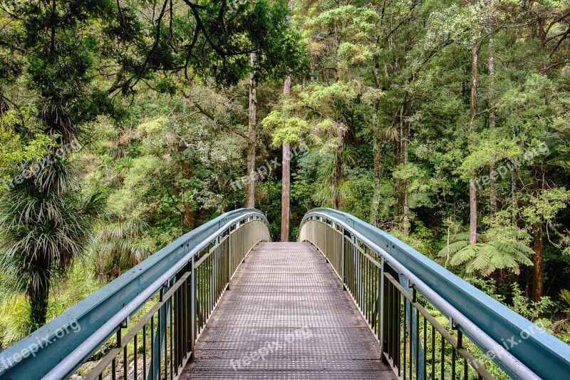 Bridge Jungle Forest Landscape Green