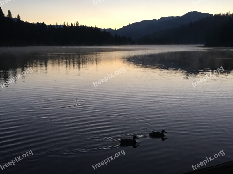 Lake Hume Sequoia Nature Water