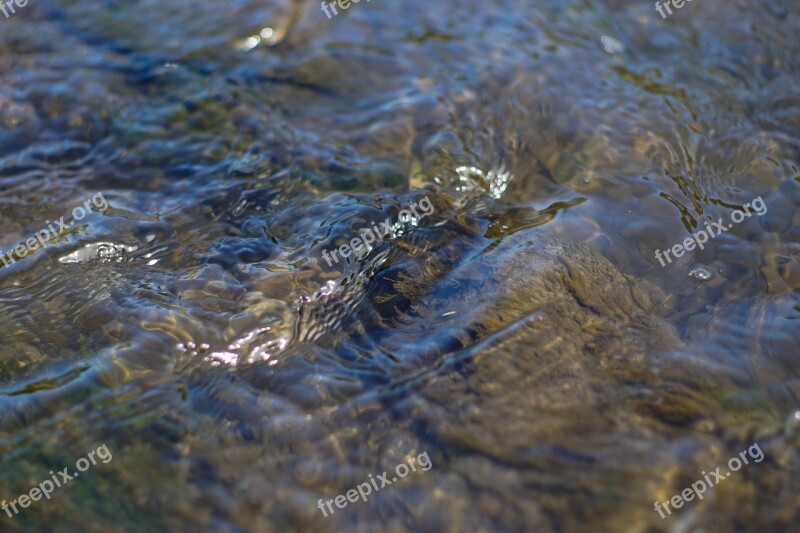 Mountain River Stream Torrent Water The Flow Of Water