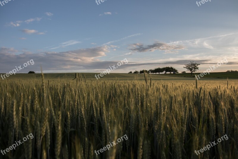 Landscape Summer Nature Sky Hill