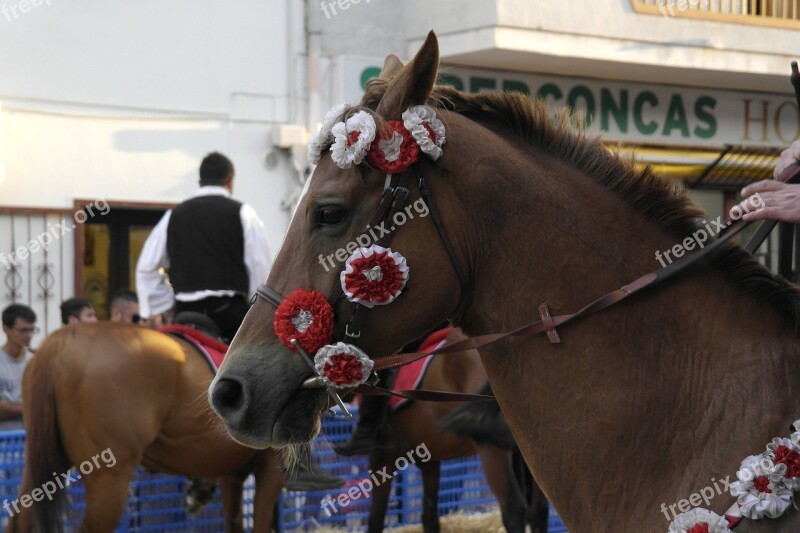 Sardinia Horse Rider Free Photos