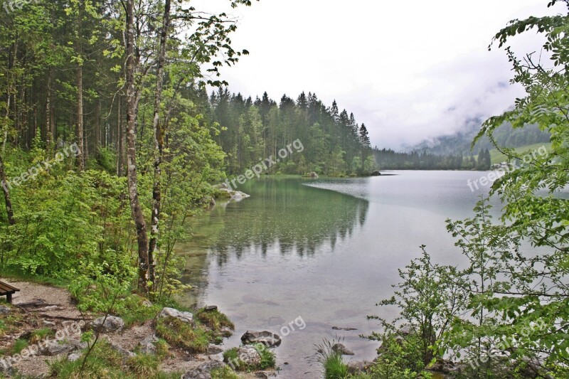 Bergsee Mystical Gothic Bayou Swamp