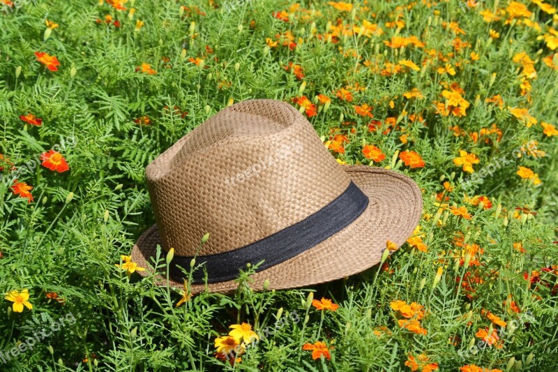 Straw Hat Cornflowers Park Walk In The Park Hamburg