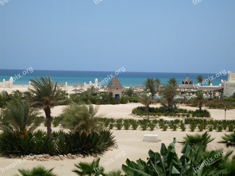 Cape Verde Complex Beach Africa Free Photos