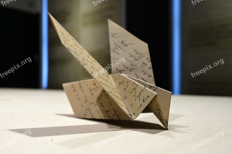 Bird Paper Origami Fold Read