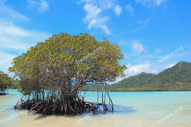 Pahawangisland Natur Sea Ocean The Landscape