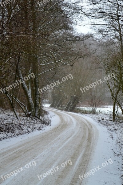 Winter Snow Landscape Nature Forest