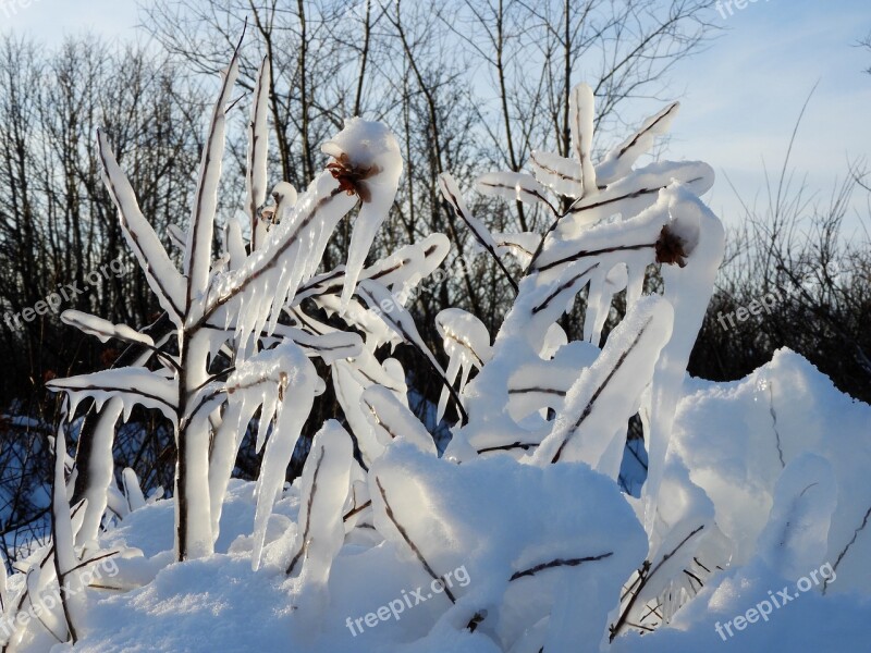 Kamchatka Winter Snow Cold Ice