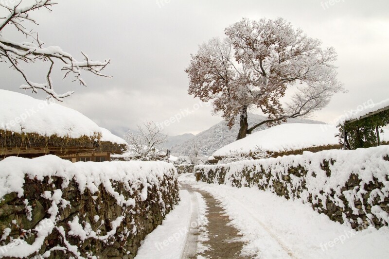 Snow Winter Winter Landscapes Besides Cancer And Free Photos