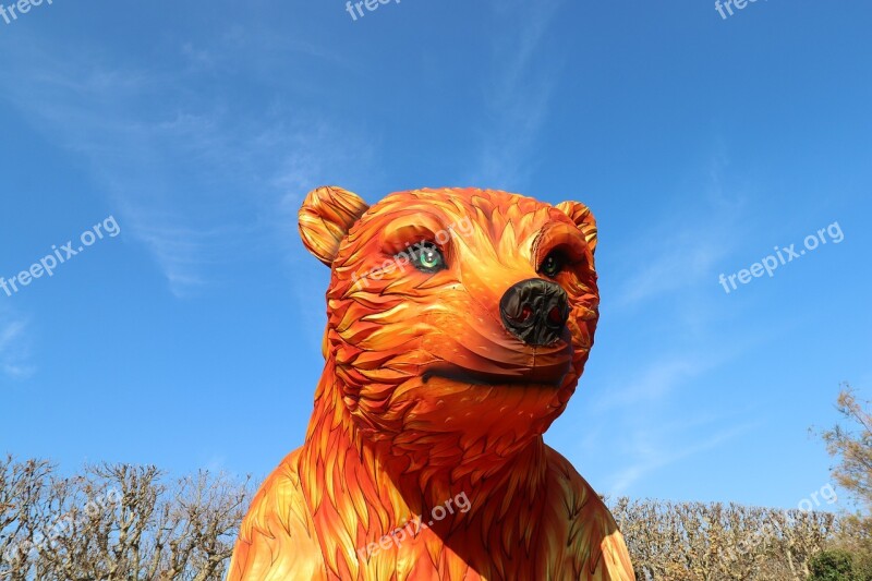 Bear Silk Museum Of Natural History Exhibition Reconstitution Of Animals