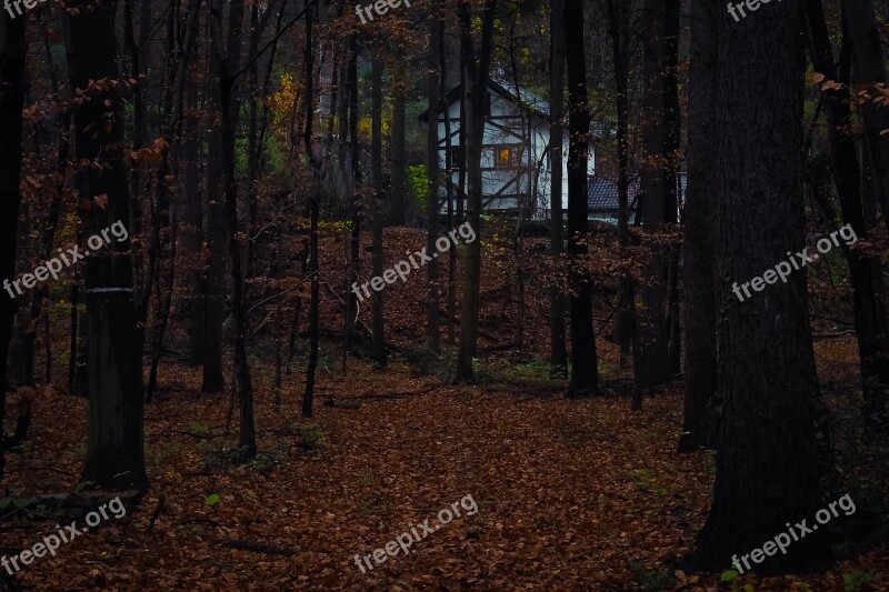 Forest House Nature Trees Landscape