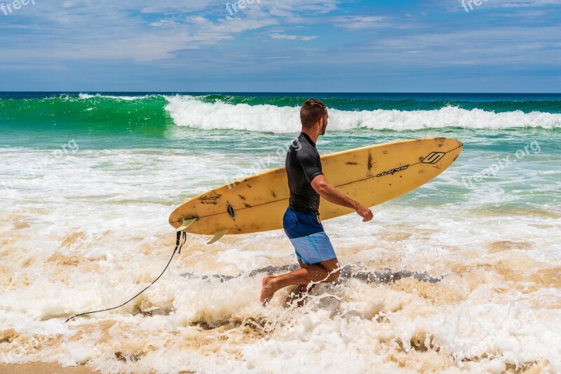 Surfer Surfing Sea Wave Surf