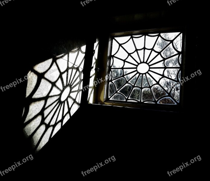 Spider Web Window Leaded Window Vintage Window Light Web