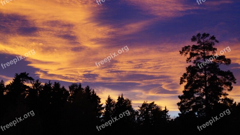 Purple Skies Sunset The Nature Of The Dusk