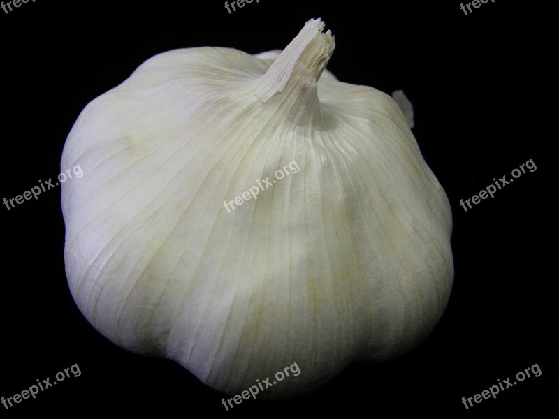 Garlic Plant Bulb Vegetable Herb