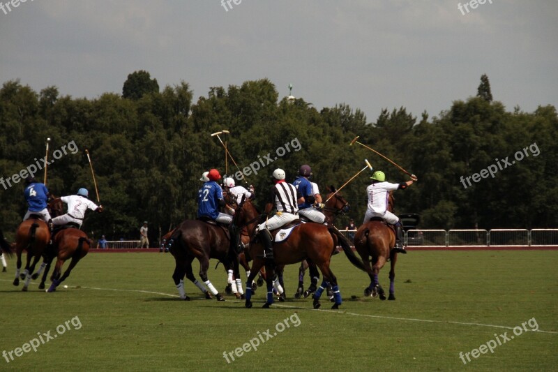 Polo Players Match Sport Competition